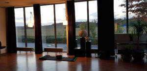 Abhyasa zaal in Wijnveld